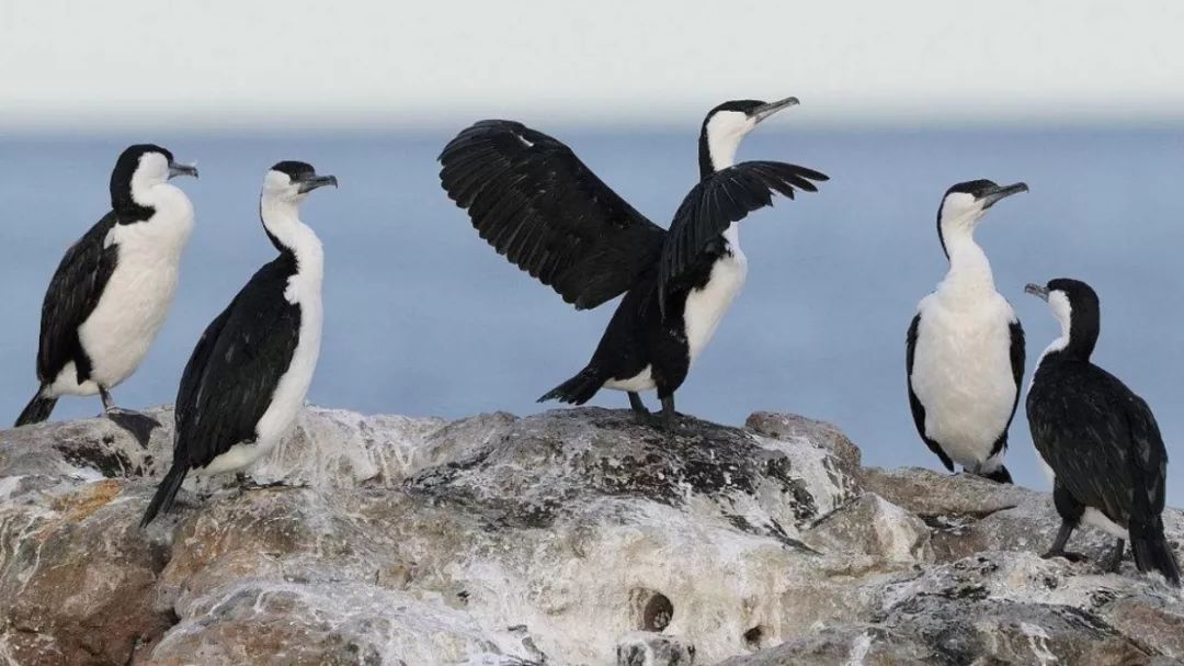 互联网人：焦虑、抑郁症的自我治疗方法！