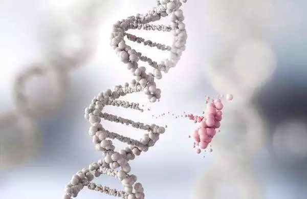 告诉你一个惊天的大秘密,告诉你一个惊天秘密