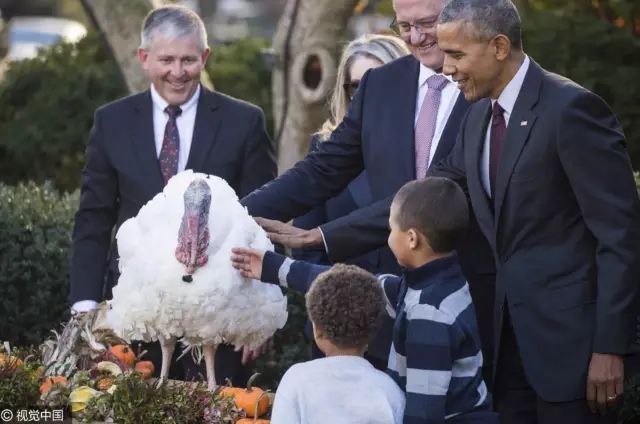 词语｜感恩节吃的火鸡为什么叫“土耳其”，而土耳其吃的火鸡却是“印度”