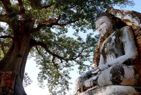 缅甸佛国之旅,缅甸人文体验之行