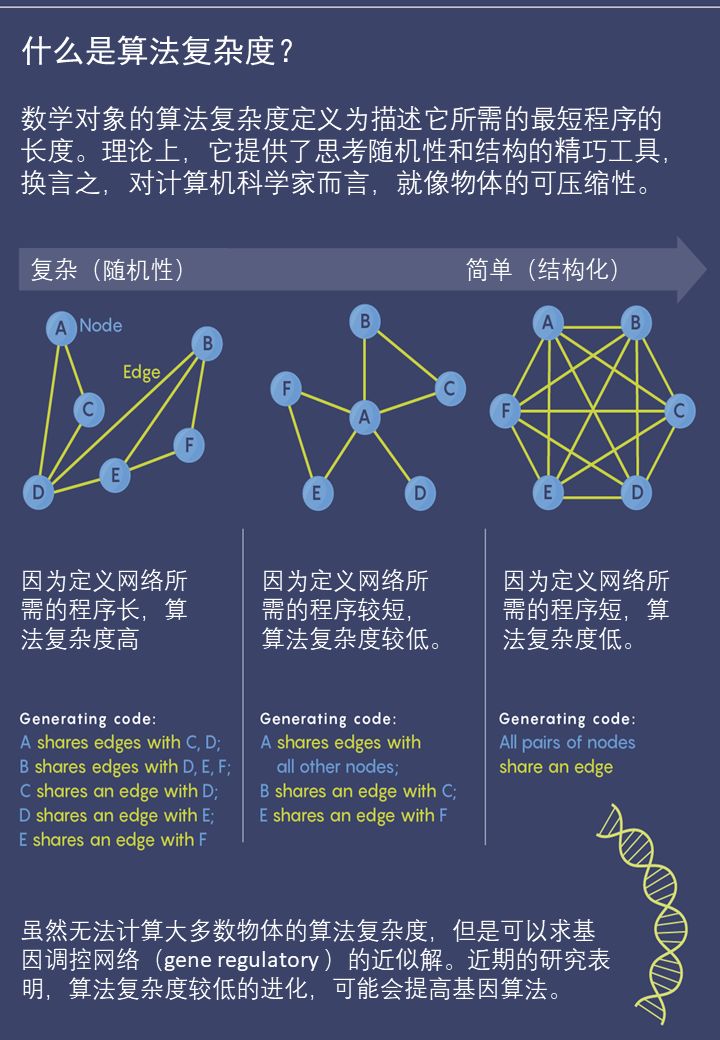 生命的演化与进化,生命的演化和进化