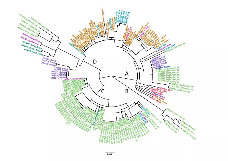 生命的演化与进化,生命的演化和进化