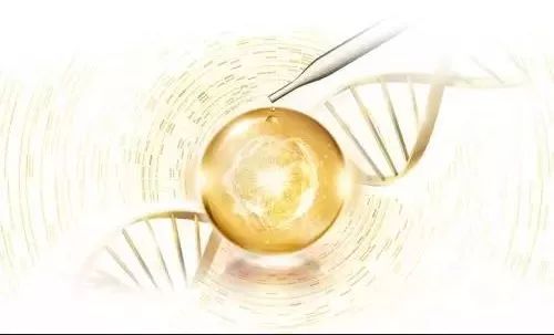 24k黄金护肤霜,24k黄金面霜有用吗