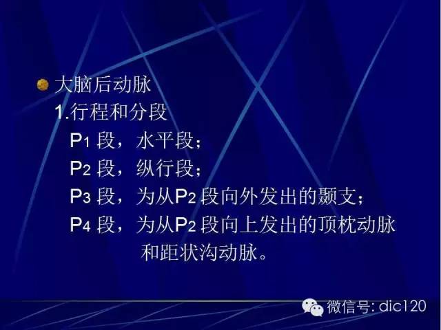 脑血管解剖技巧,脑血管解剖与介入