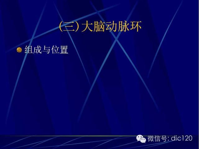 脑血管解剖技巧,脑血管解剖与介入