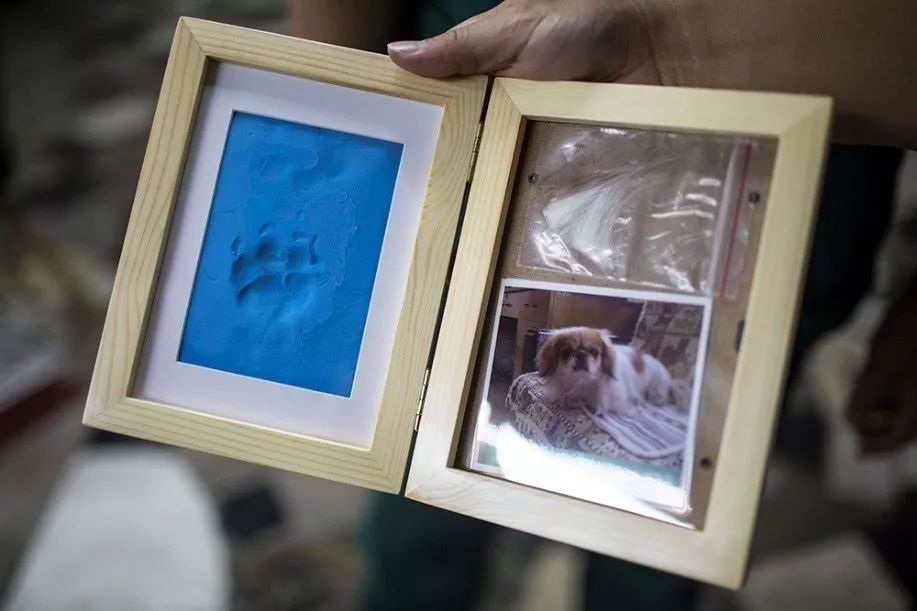 购物车从不撒谎：在淘宝，我看见1万种人生