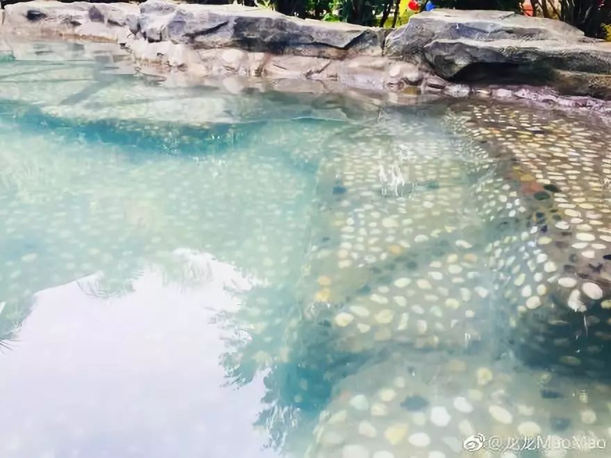 红河温泉胜地,红河温泉开远