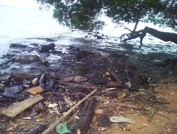 拉美数国政府曾禁了这本书，原因是“腐蚀青年”