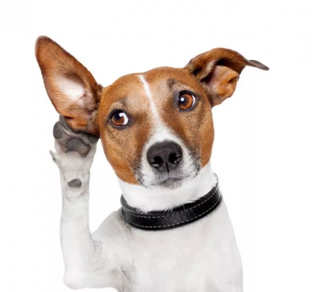 互联网人：焦虑、抑郁症的自我治疗方法！