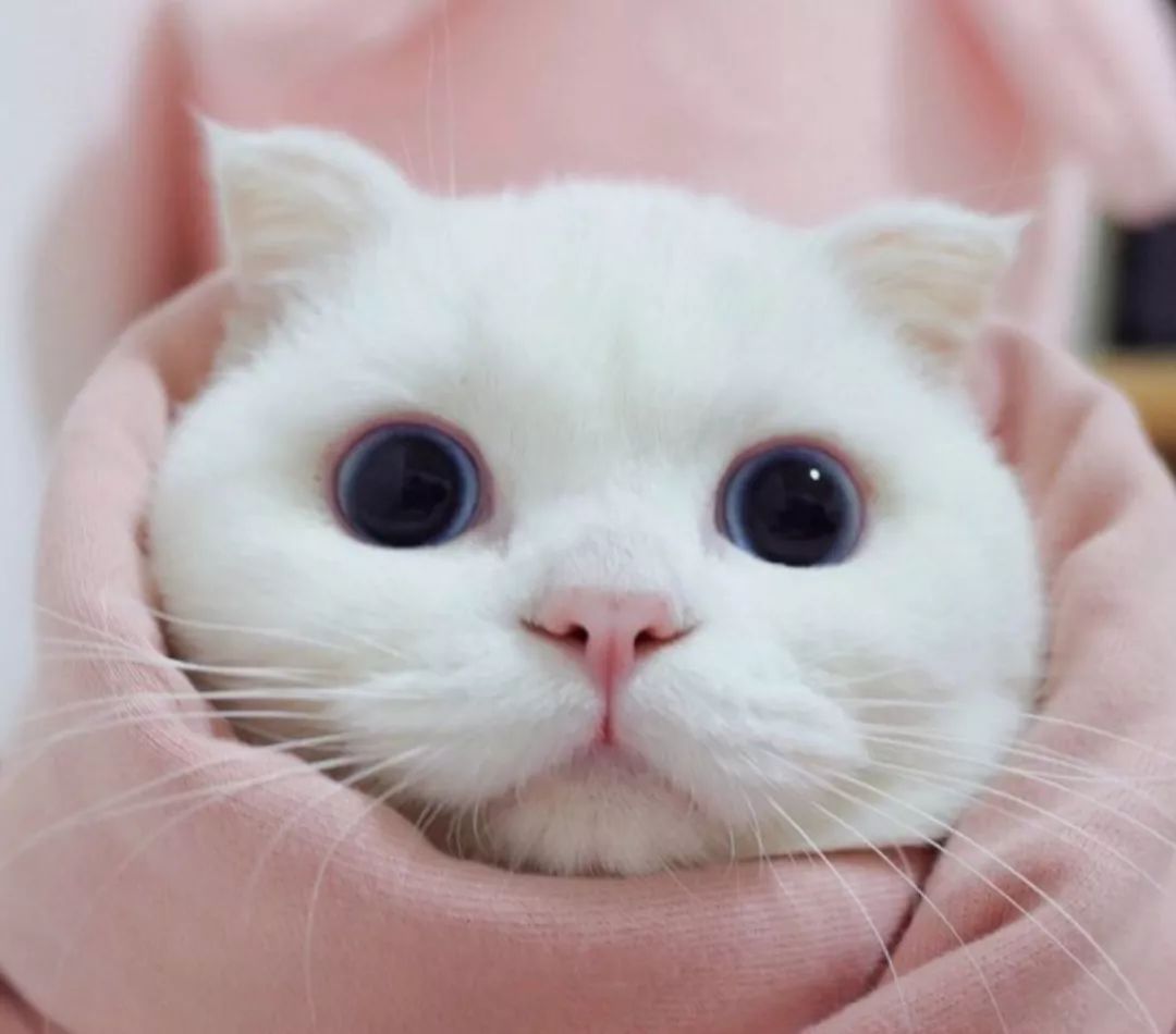 互联网人：焦虑、抑郁症的自我治疗方法！