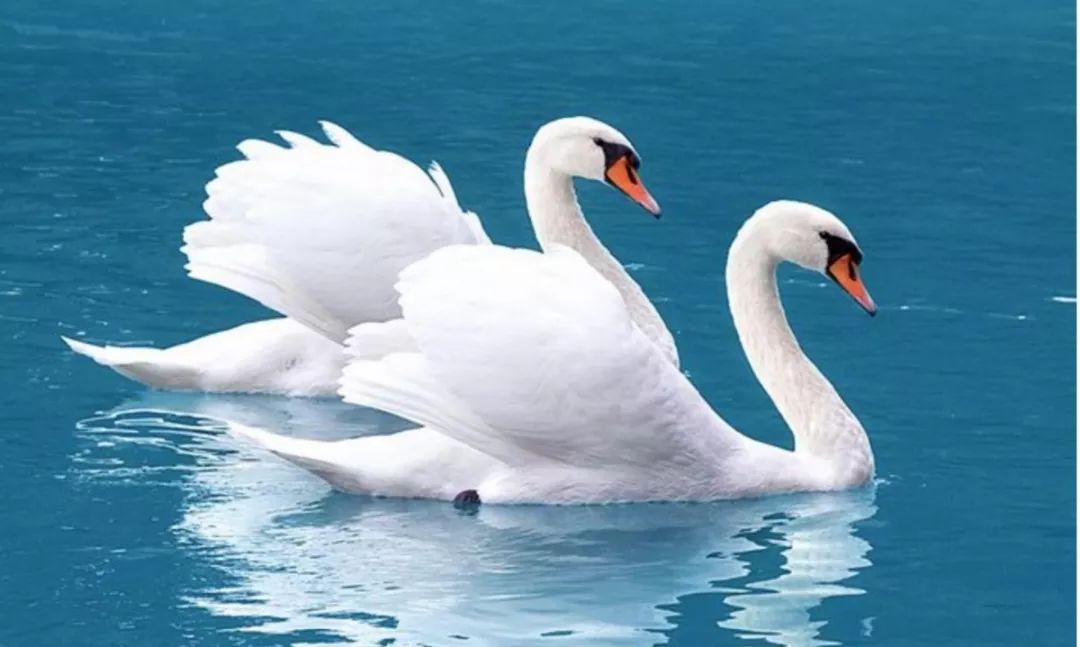 互联网人：焦虑、抑郁症的自我治疗方法！