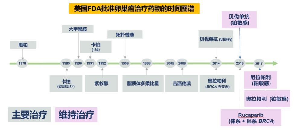 卵巢癌可用哪几种靶向药,为什么卵巢癌复发才能吃靶向药