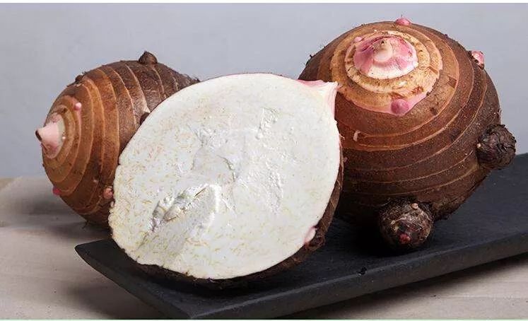 2024浙江名优农产品上海展销会,浙江名特优农产品在光大展销吗