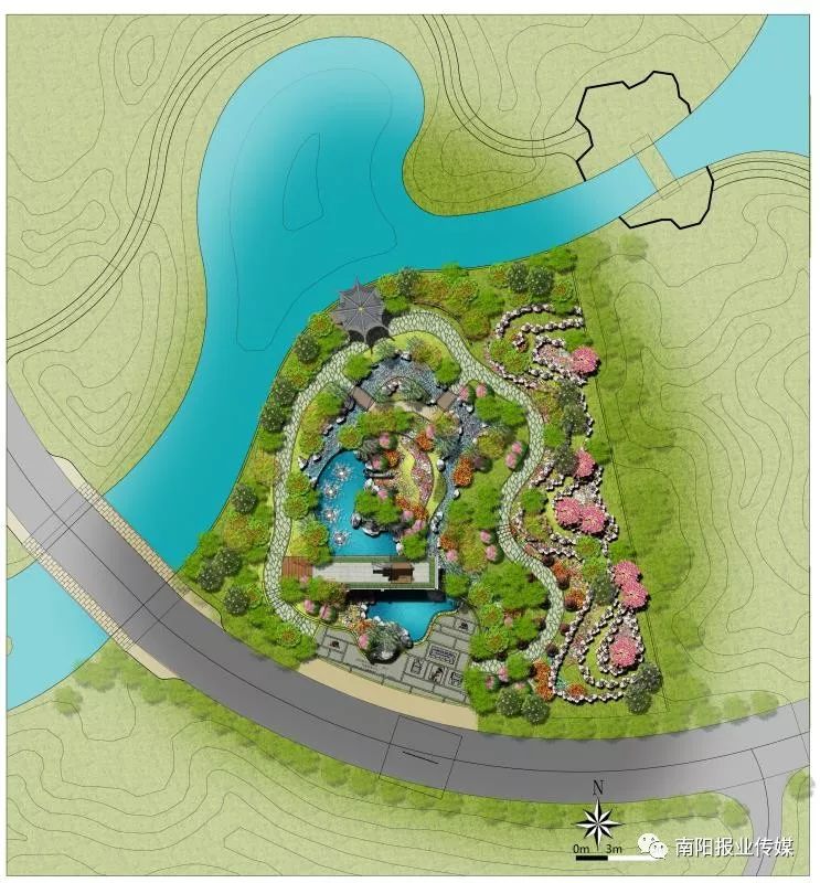 最美南阳月季园,看到美丽的月季花心情豁然开朗