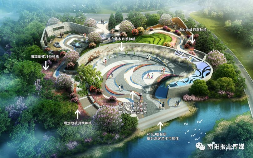 最美南阳月季园,看到美丽的月季花心情豁然开朗