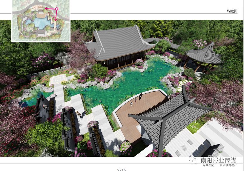 最美南阳月季园,看到美丽的月季花心情豁然开朗