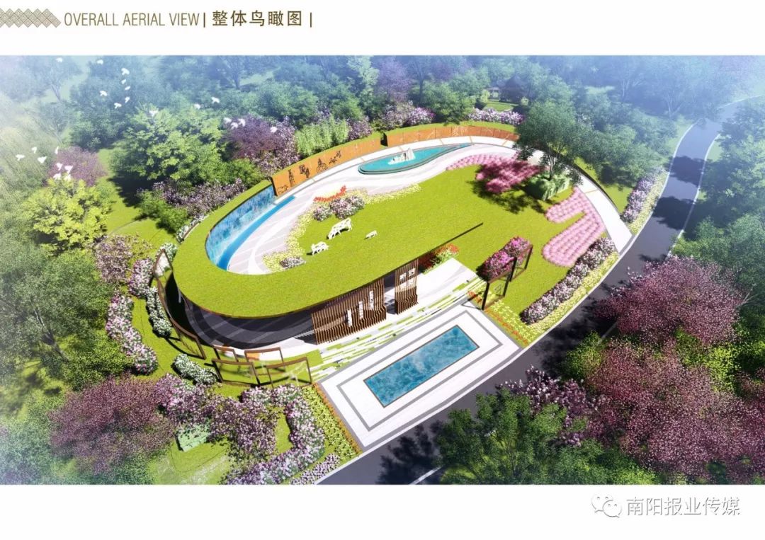 最美南阳月季园,看到美丽的月季花心情豁然开朗