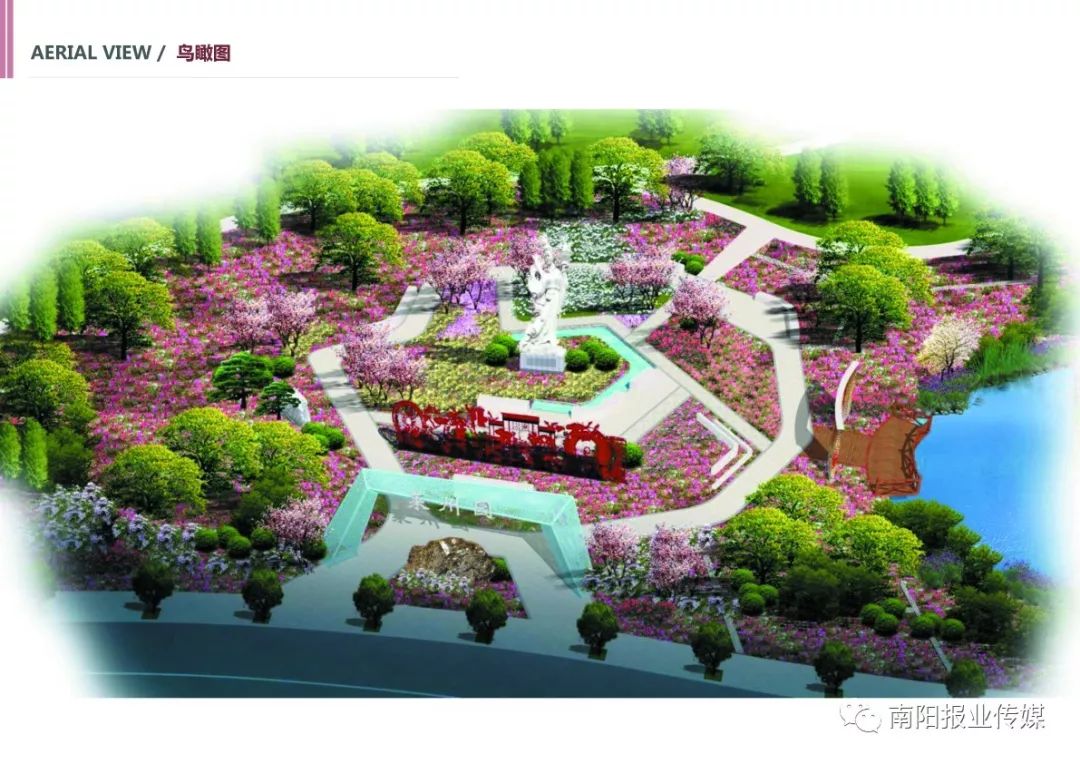 最美南阳月季园,看到美丽的月季花心情豁然开朗