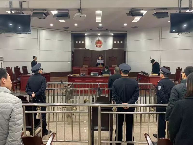 2013年福建龙岩刑事案件,龙岩审理的恶势力案件