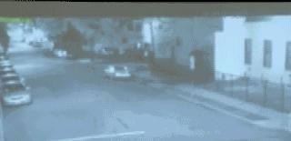 赴美留学生被害案,1962蒙古国留学生被害案