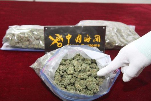 4岁女童吃“巧克力”险丧命，竟是*品毒**……最近“上镜率”颇高的加拿大，“上头条”已经不止一次了