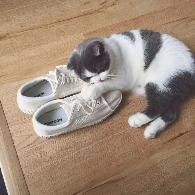 好物推荐小白鞋女生,实用好物推荐小白鞋