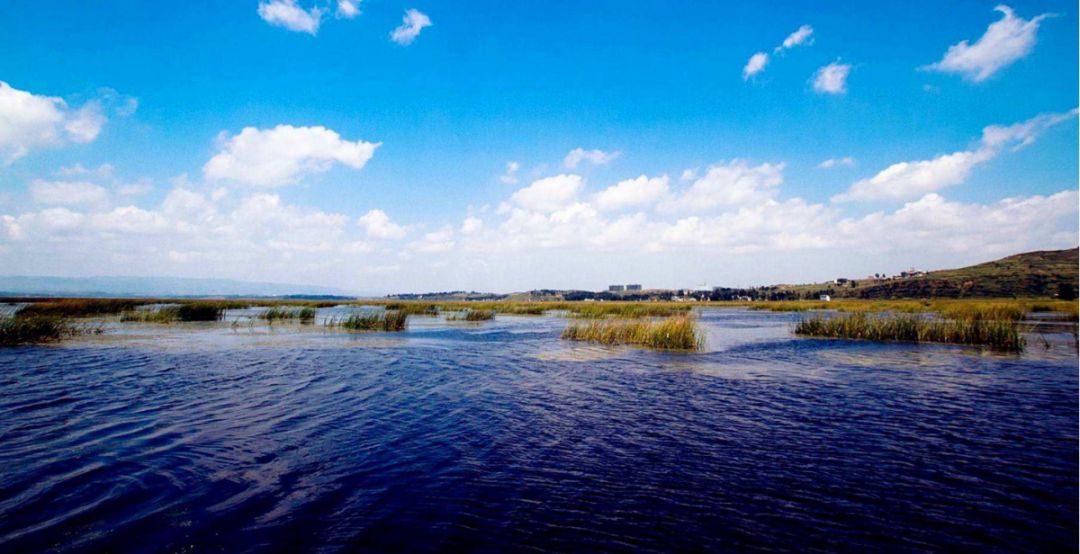 威宁草海一日游最佳攻略,威宁草海之旅