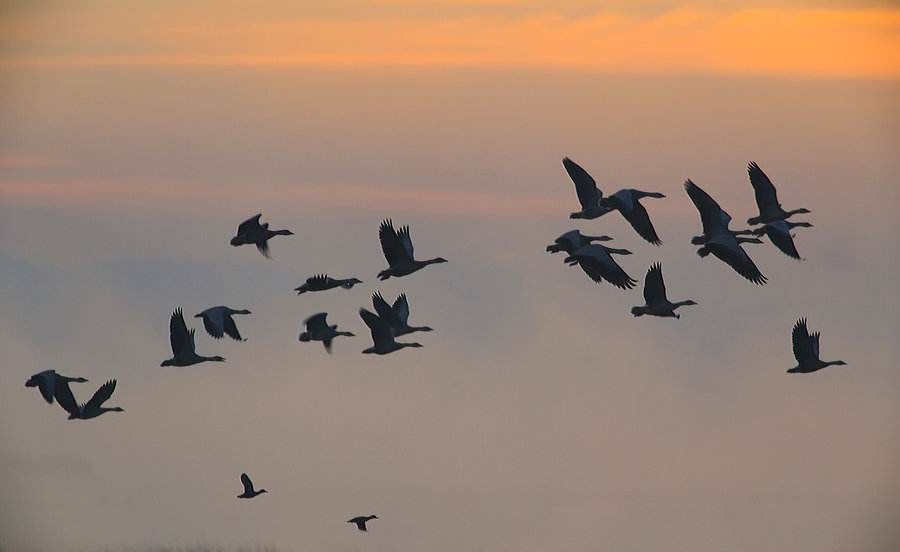 威宁草海一日游最佳攻略,威宁草海之旅