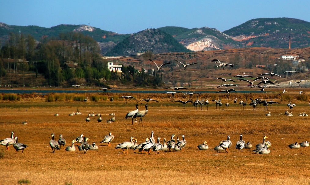 威宁草海一日游最佳攻略,威宁草海之旅