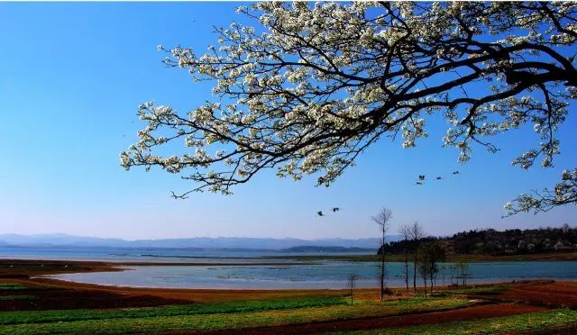 威宁草海一日游最佳攻略,威宁草海之旅