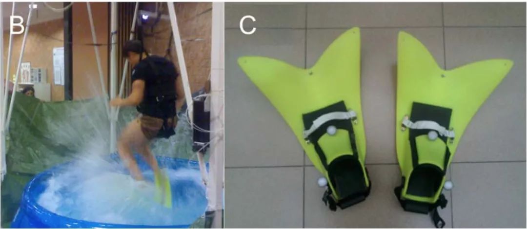 快瞧那只壁虎！它会“凌波微步”