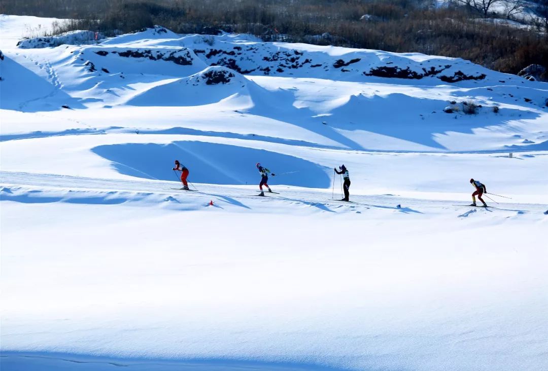 瓦萨滑雪节开赛时间,瓦萨国际滑雪节盛大启幕