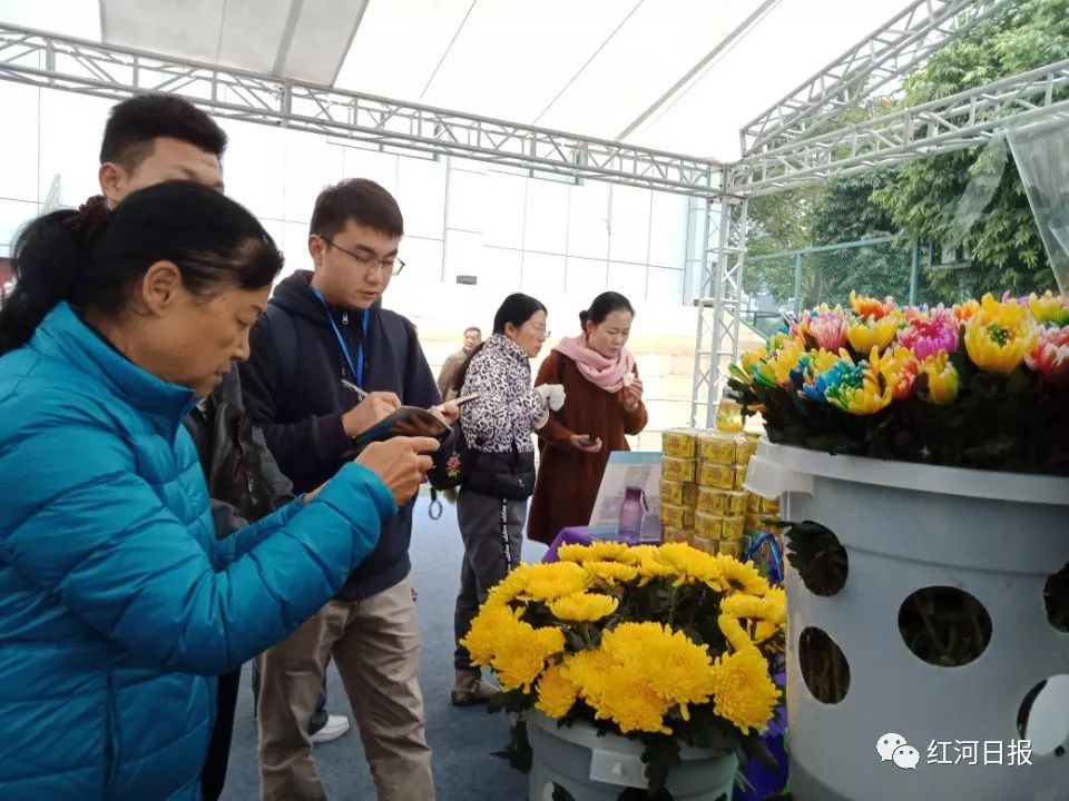 文博会镇馆之宝,文博会所有镇馆之宝