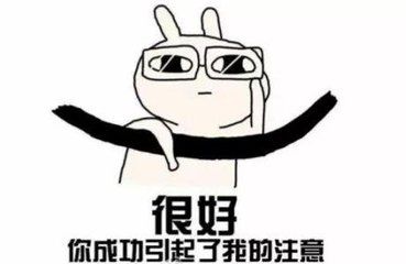 梅州市市长杯冠军,兴宁市市长杯冠军