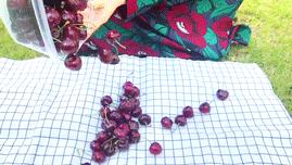 赣州车厘子最新官方消息,赣州产车厘子