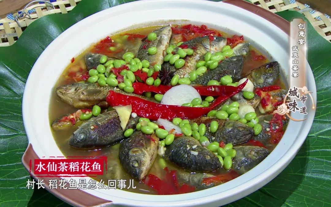 收藏的美食合集,收藏美食大全视频