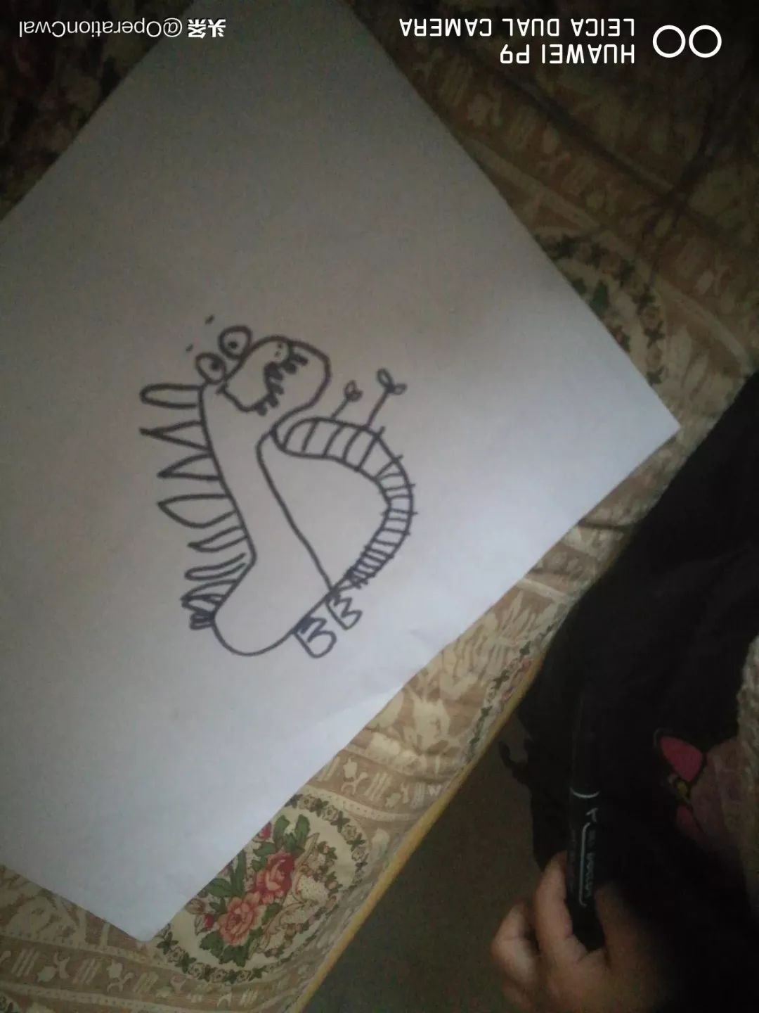 小盗龙画室——剑龙