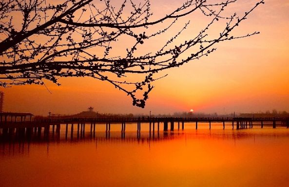 最新通报！衡水这些单位、小区获省级命名，看在你家旁边吗？