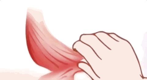 女明星和女明星同框颜值大对比,女明星红毯合照比美