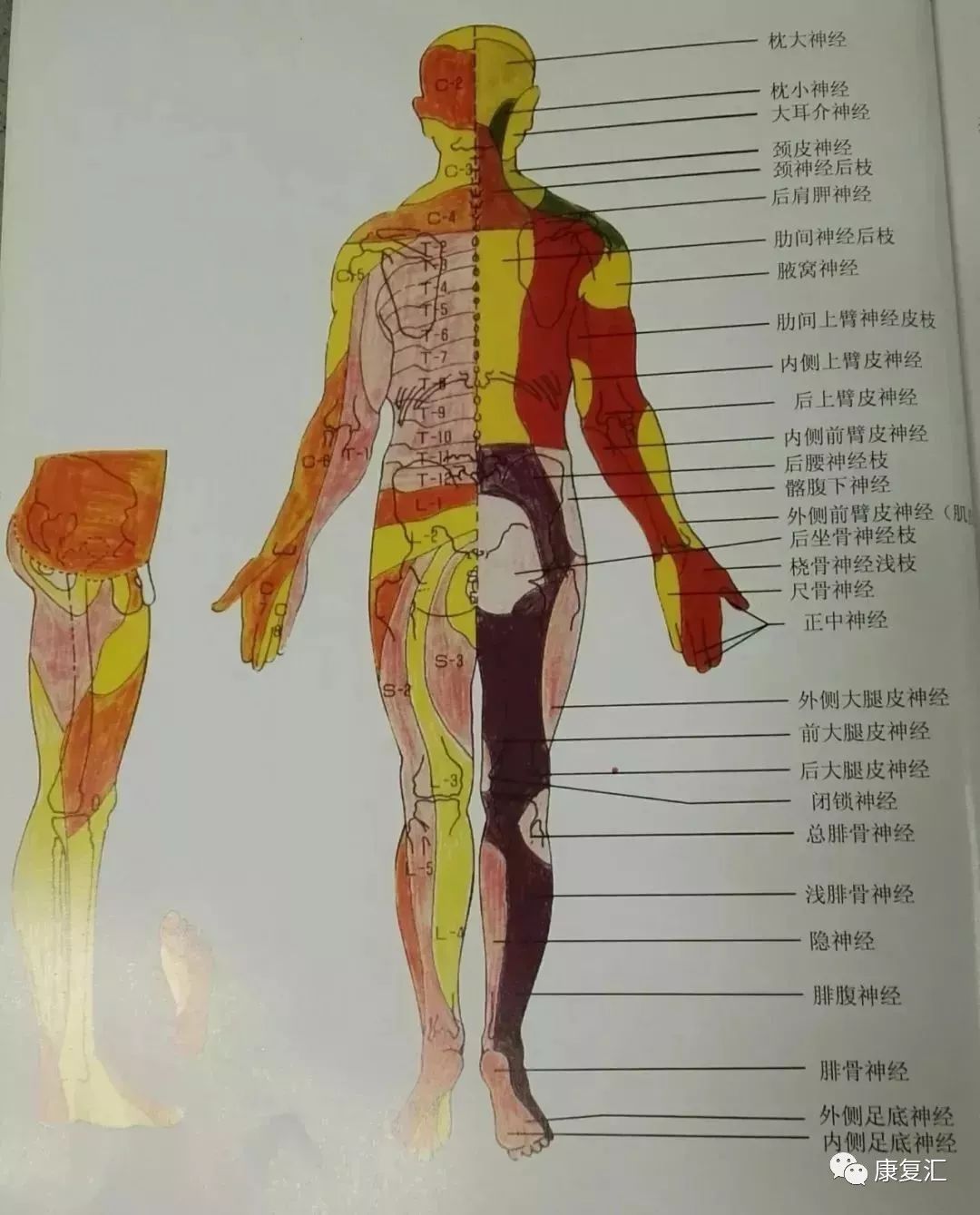 神经康复的治疗,神经松动术治疗什么