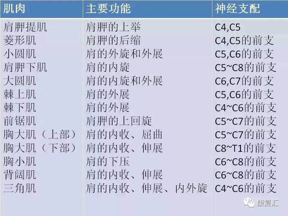 神经康复的治疗,神经松动术治疗什么