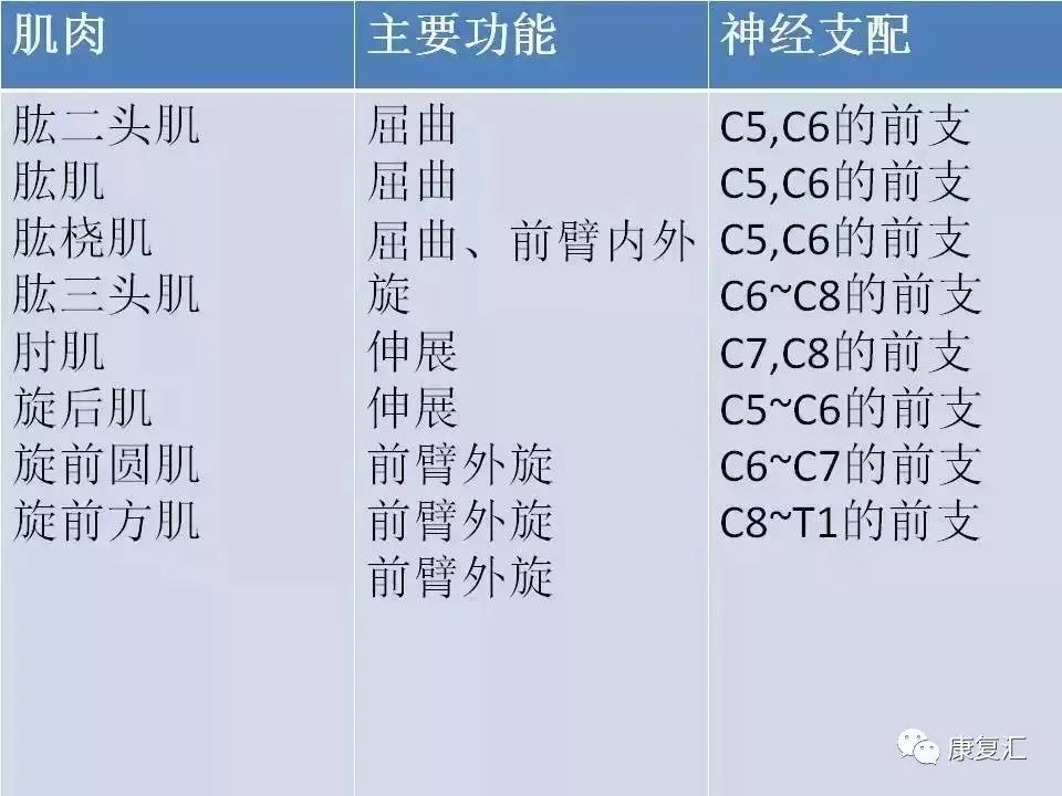 神经康复的治疗,神经松动术治疗什么