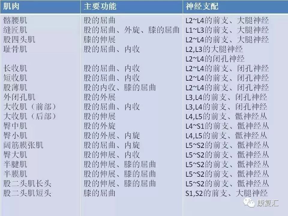 神经康复的治疗,神经松动术治疗什么