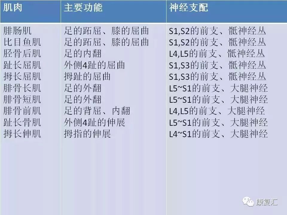 神经康复的治疗,神经松动术治疗什么