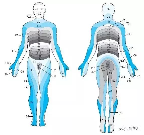 神经康复的治疗,神经松动术治疗什么