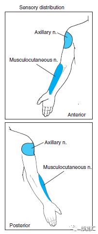 神经康复的治疗,神经松动术治疗什么