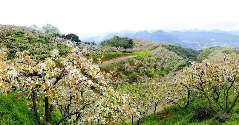 遵义5a景区一览表,遵义市第二批4A级以上景区