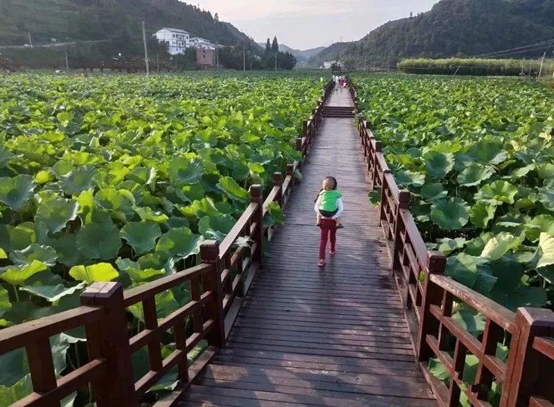 遵义5a景区一览表,遵义市第二批4A级以上景区