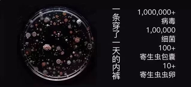 一星期不换衣服正常吗,一星期不换内裤的危害