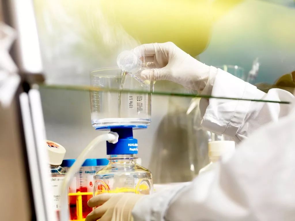 她一出生就是网红！从400名对手中脱颖而出，被千亿大佬选中！据说全世界的孩子都离不开她！